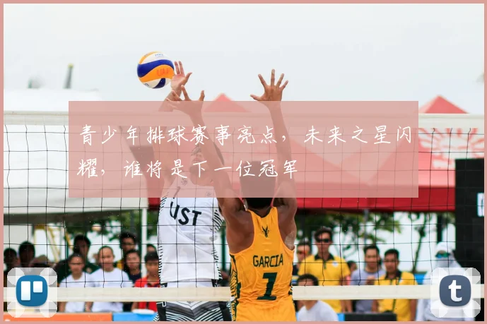 青少年排球赛事亮点,未来之星闪耀,谁将是下一位冠军