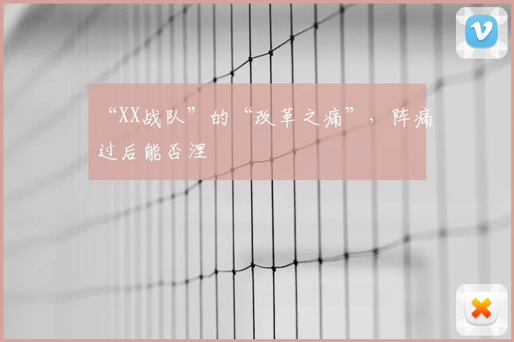 “XX战队”的“改革之痛”，阵痛过后能否涅槃